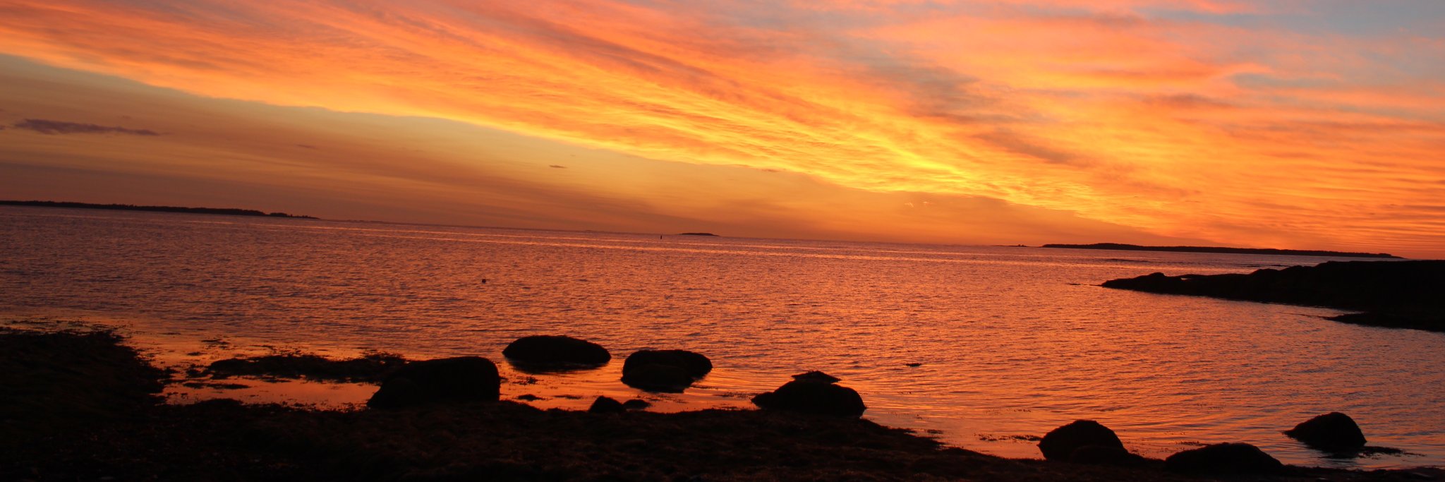 Kaitlyn MacIsaac banner