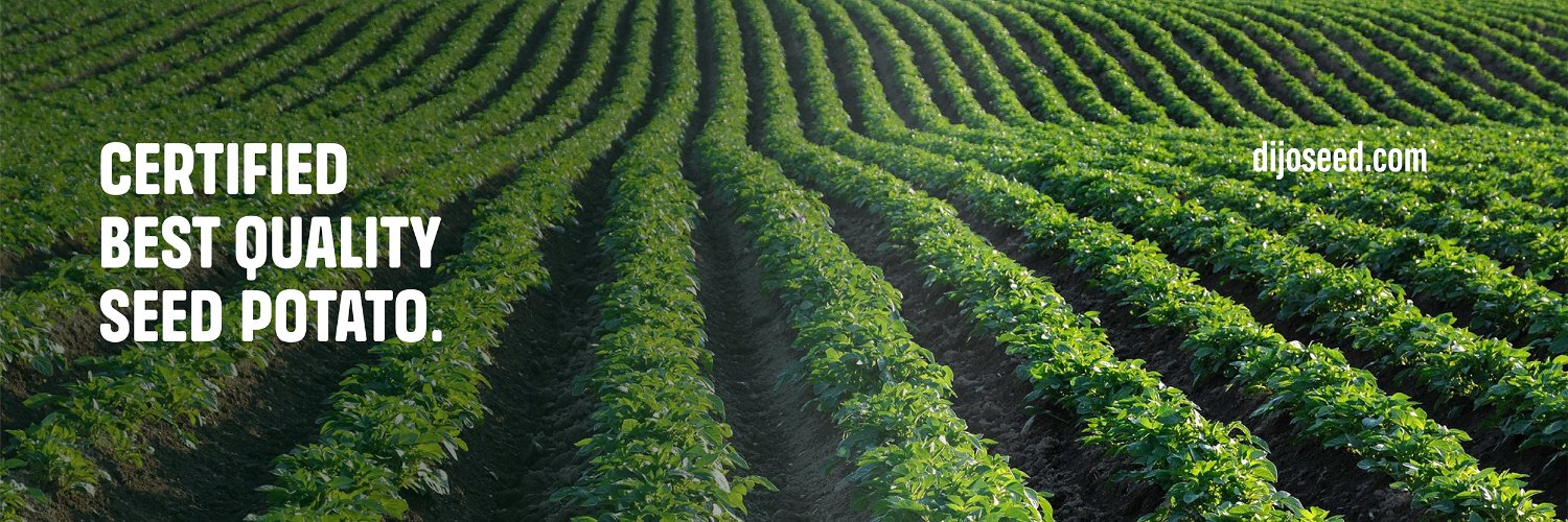 Dijo Seed Group banner