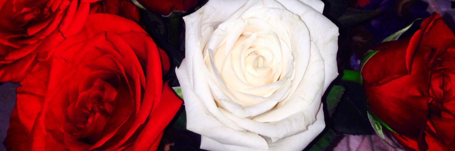 GissellePosadas's profile banner image