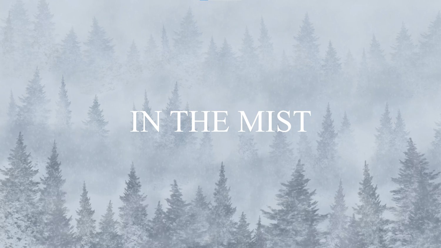 IntheMist (ม่านหมอกสีน้ำเงิน💙) banner