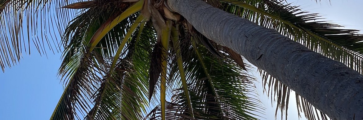yelyjb's profile banner image