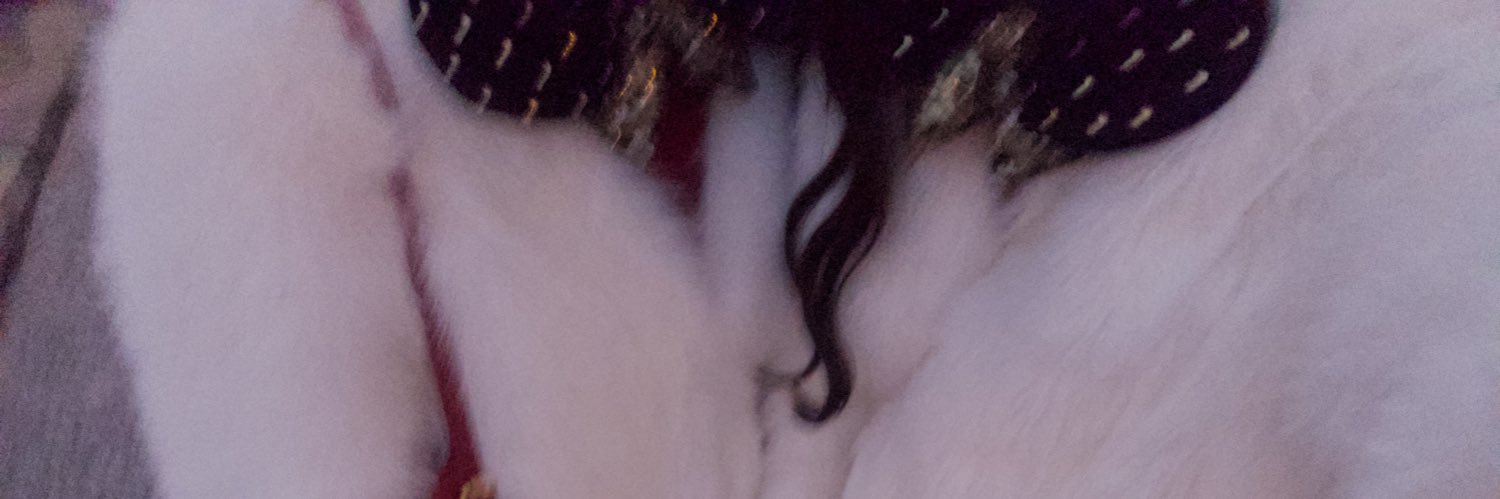 kyoko____222's profile banner image