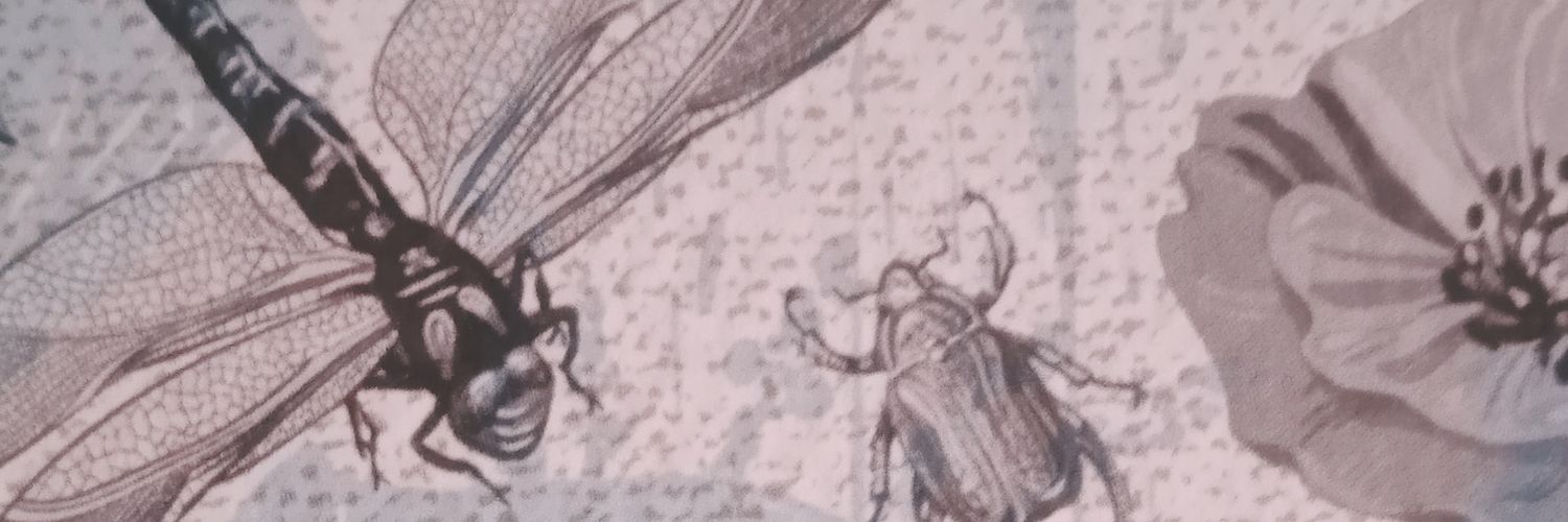 falsø brahman 𓆣 banner