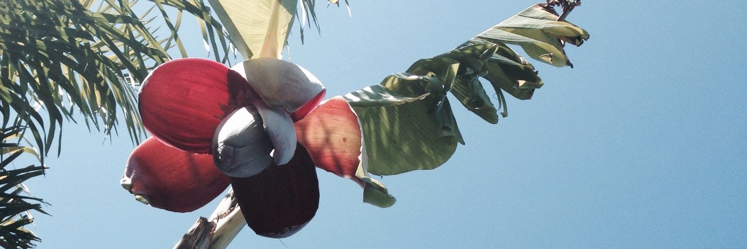 tambordrum's profile banner image
