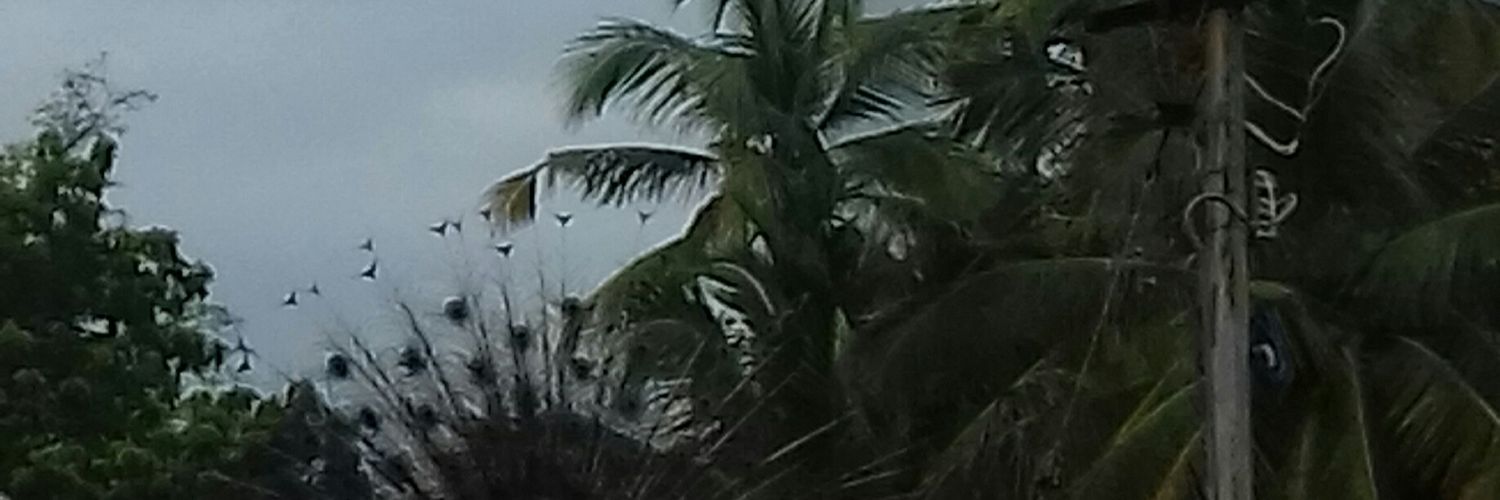Geeyar~ஜீயார் banner