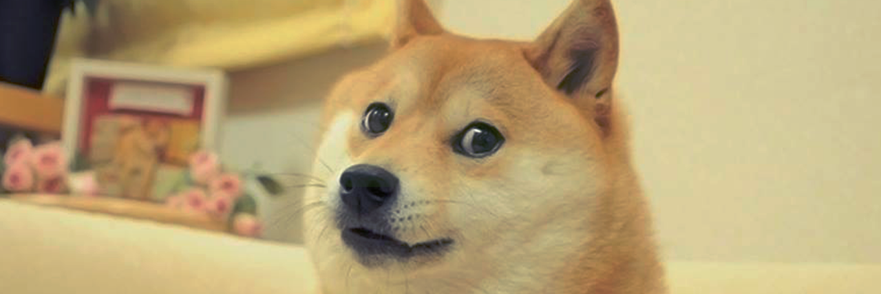 Qel_Q's profile banner image
