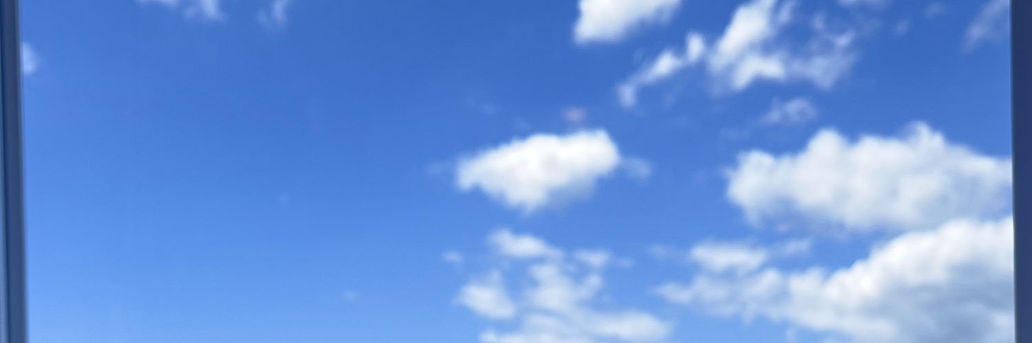 sf__31's profile banner image
