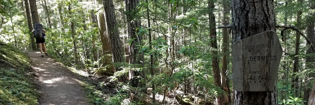 Alexis (Lexie) Krell banner