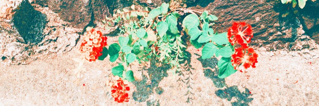 RUI___1117's profile banner image