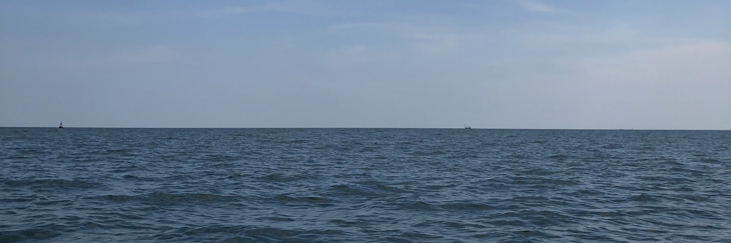 beleooved's profile banner image
