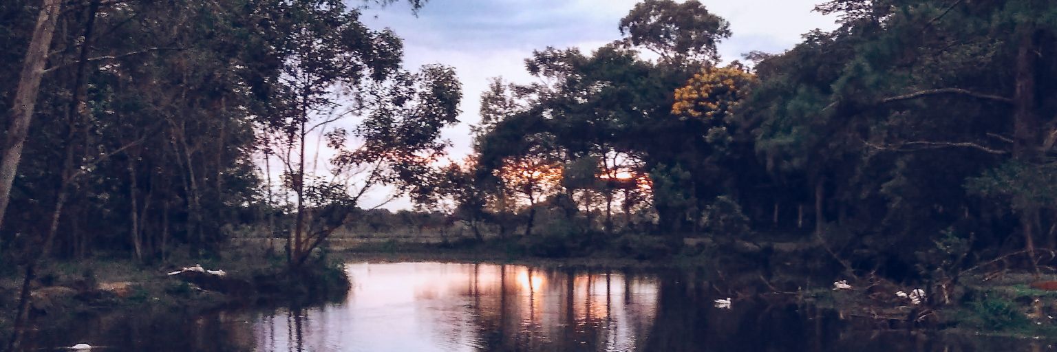 Gabqueveedo's profile banner image