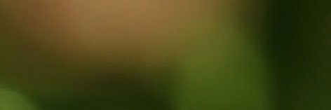 valleydew_40's profile banner image