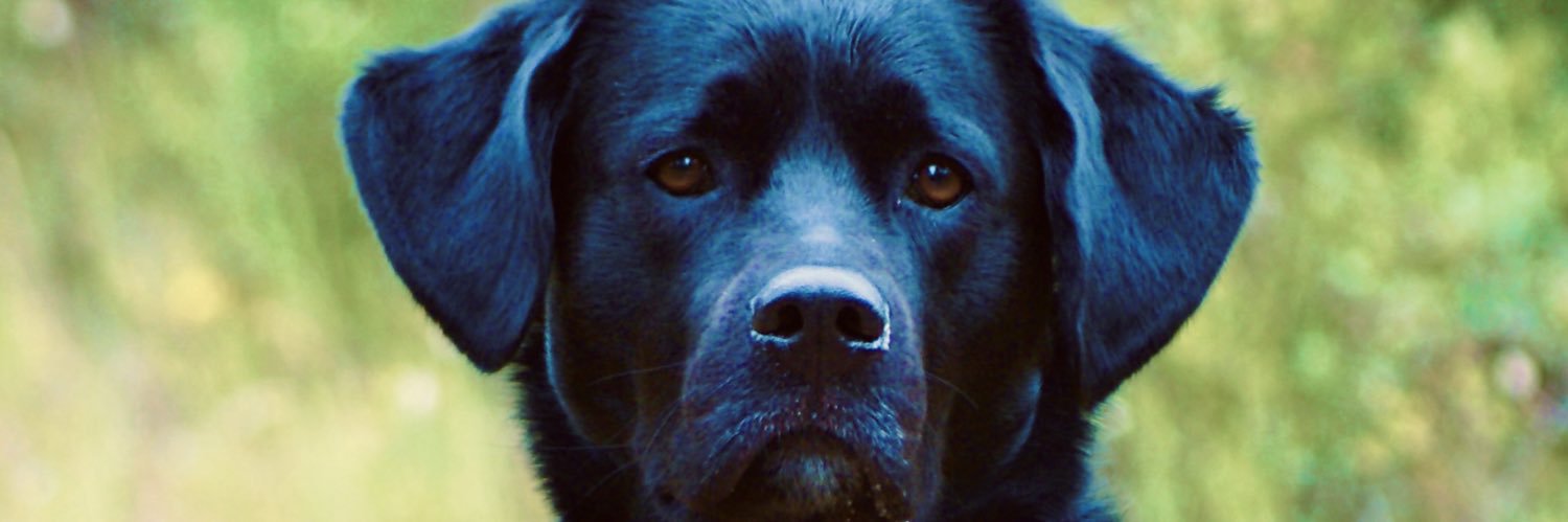 VinceVallet8's profile banner image
