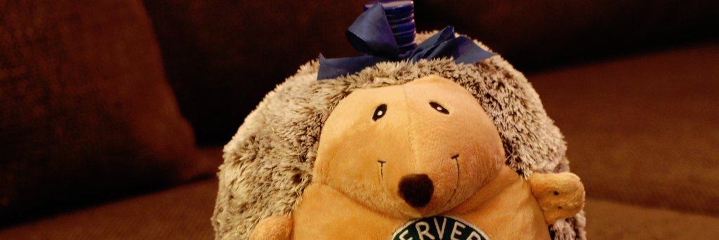 serverialumnit's profile banner image