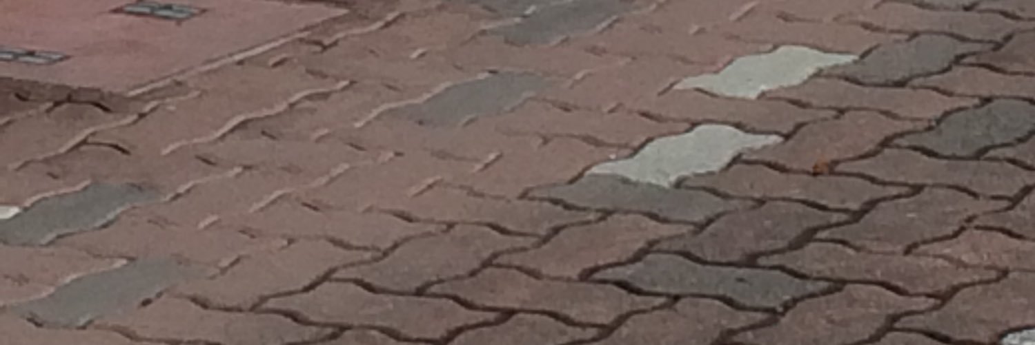 脳足りん banner