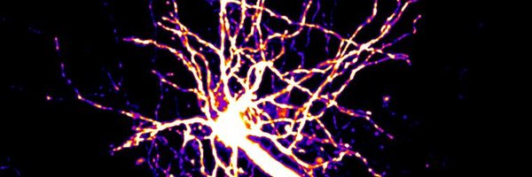 ashbylab Profile Banner