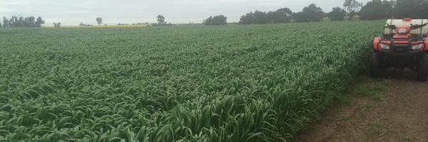 kentstone85 Profile Banner