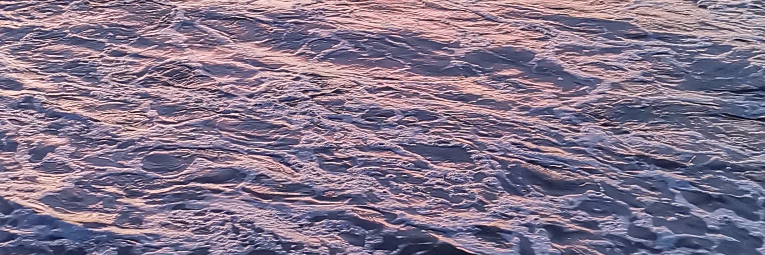 eriksanchezal's profile banner image
