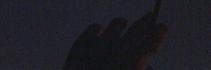D O M ▪ banner