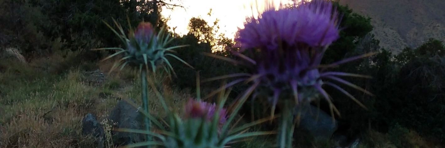 asn1403's profile banner image