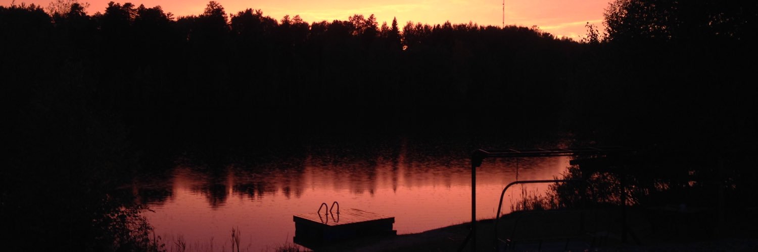 Monique Koski banner