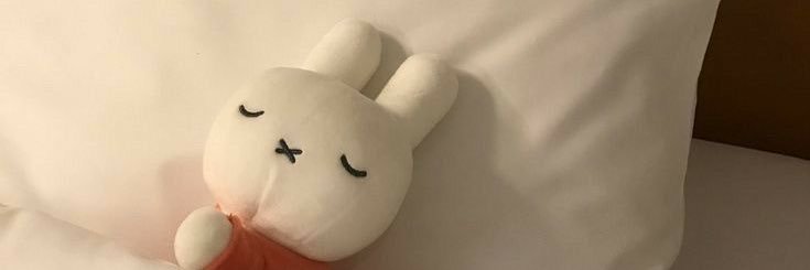 bubear. banner