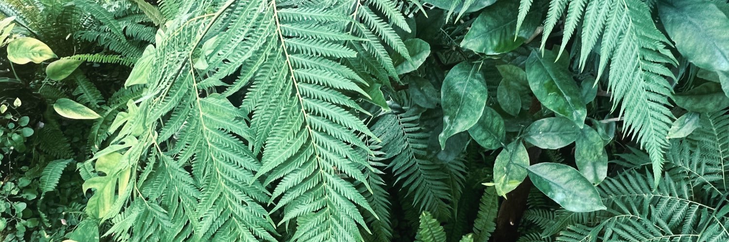 ↫ ゑ ↬タオ初日&ﾌｼﾞﾛ26 banner