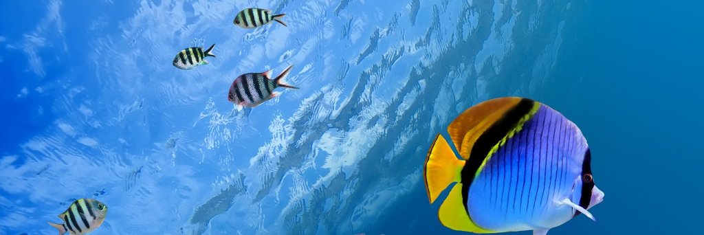 EDtech4asd's profile banner image