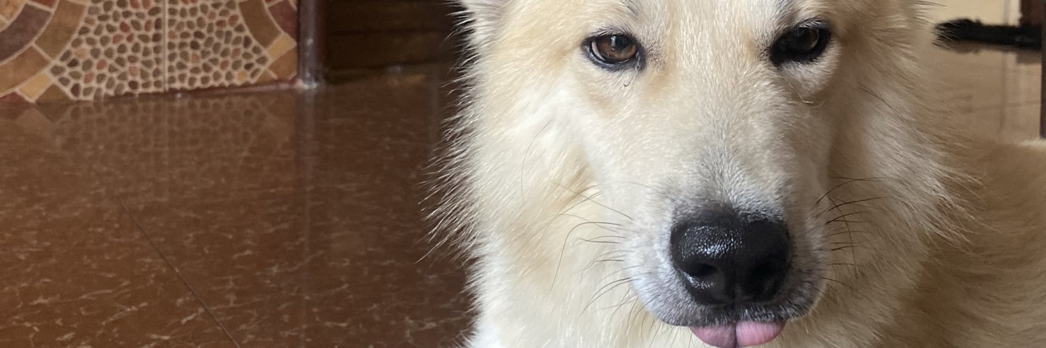 hilariii_'s profile banner image
