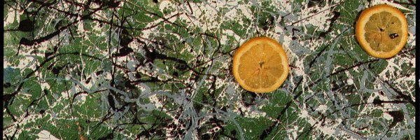 theputneyfalcon Profile Banner