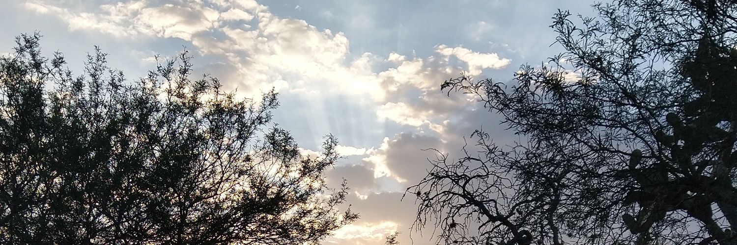 pepeceb1's profile banner image
