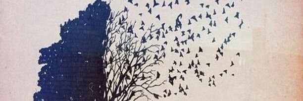 Lucky_737's profile banner image