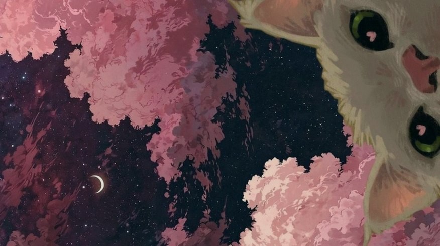 sofiaaattoj's profile banner image