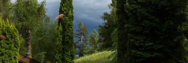 استغفر الله's banner
