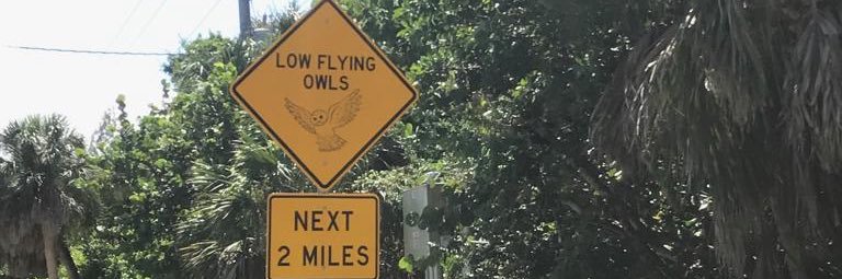 Kitty🇺🇦🇮🇱🇨🇦🇪🇺 banner