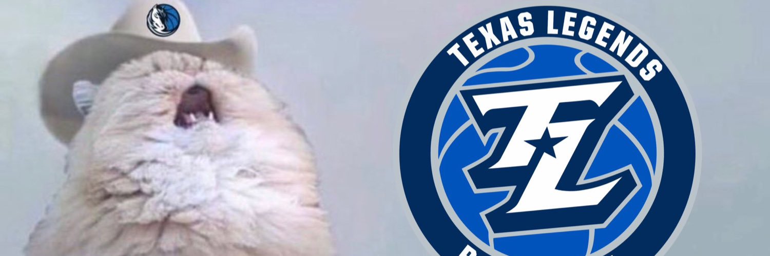 Texas Legends banner