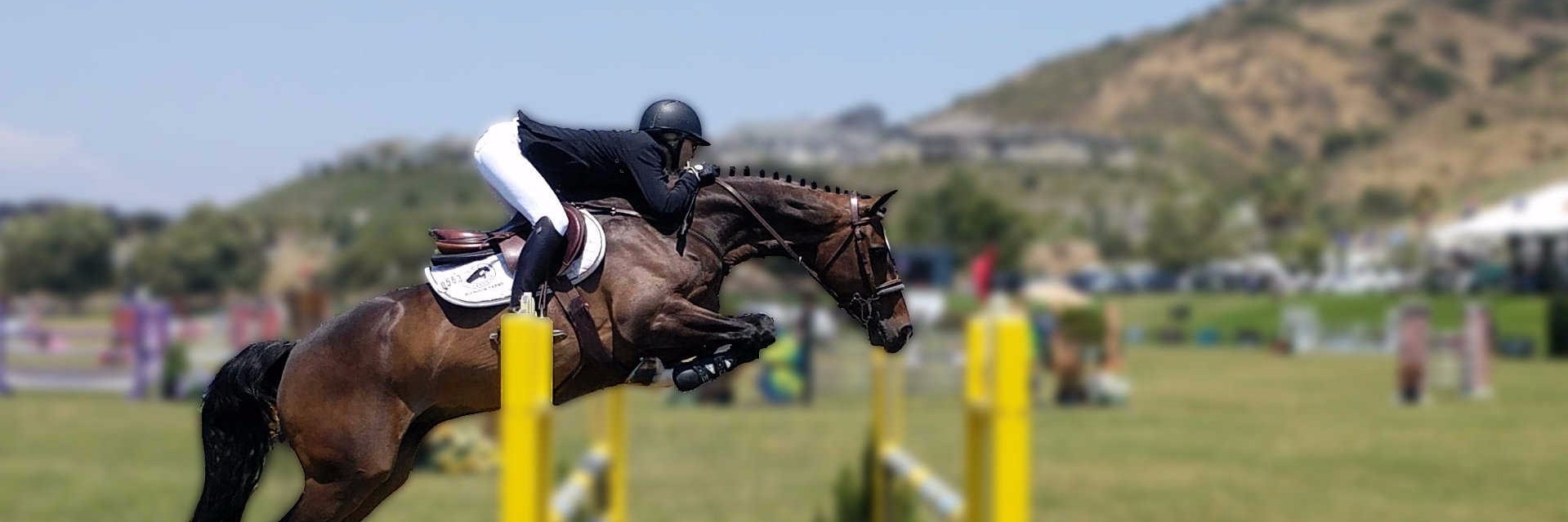 Show Jumping Life (@ShowJumpLife) / Posts / X