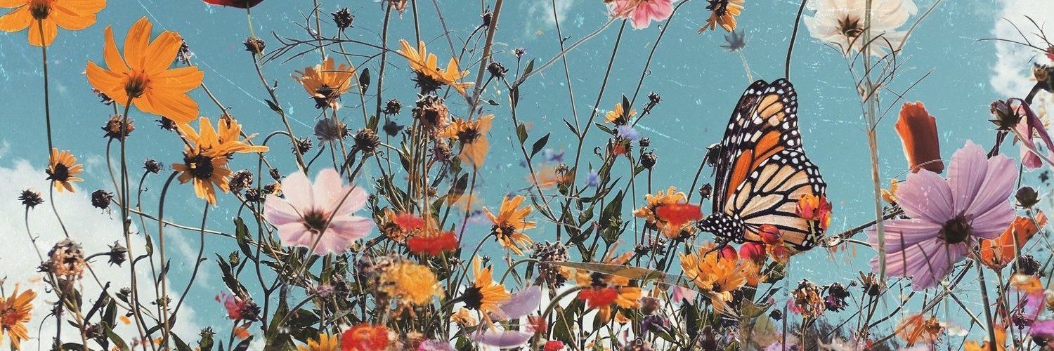 Onomeay's profile banner image