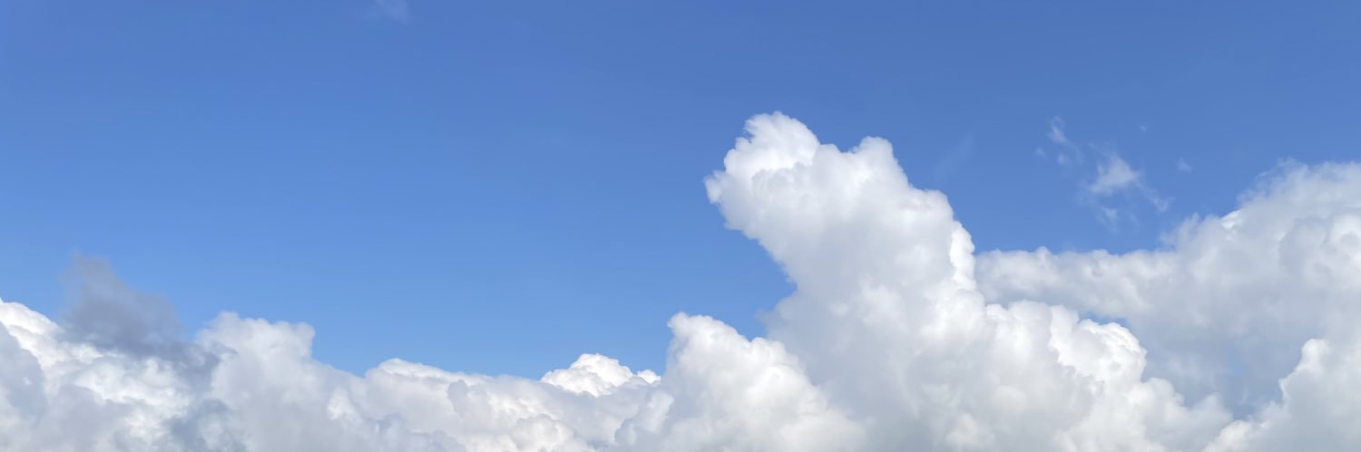 flying__nemo's profile banner image