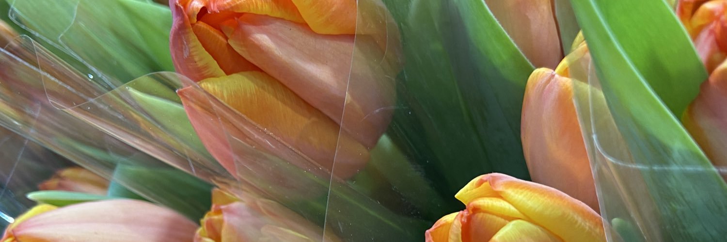 Cap_____'s profile banner image