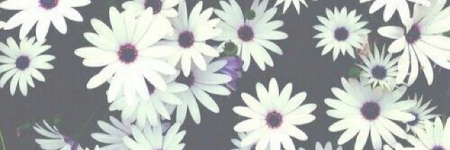uyuklupanda's profile banner image