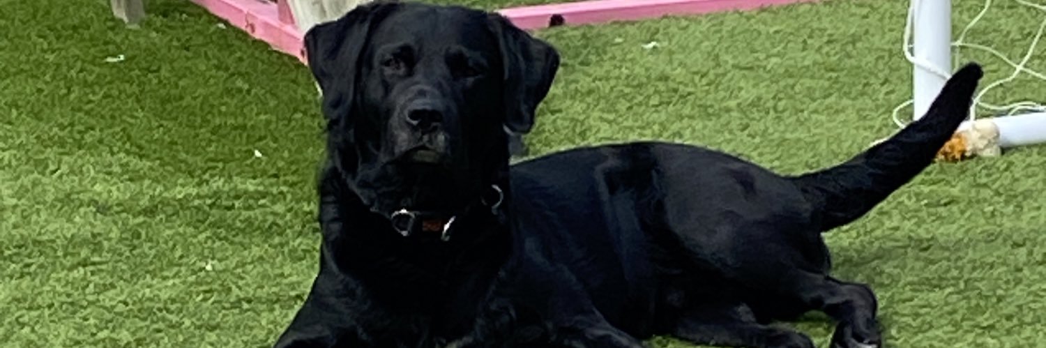 AHodgart's profile banner image
