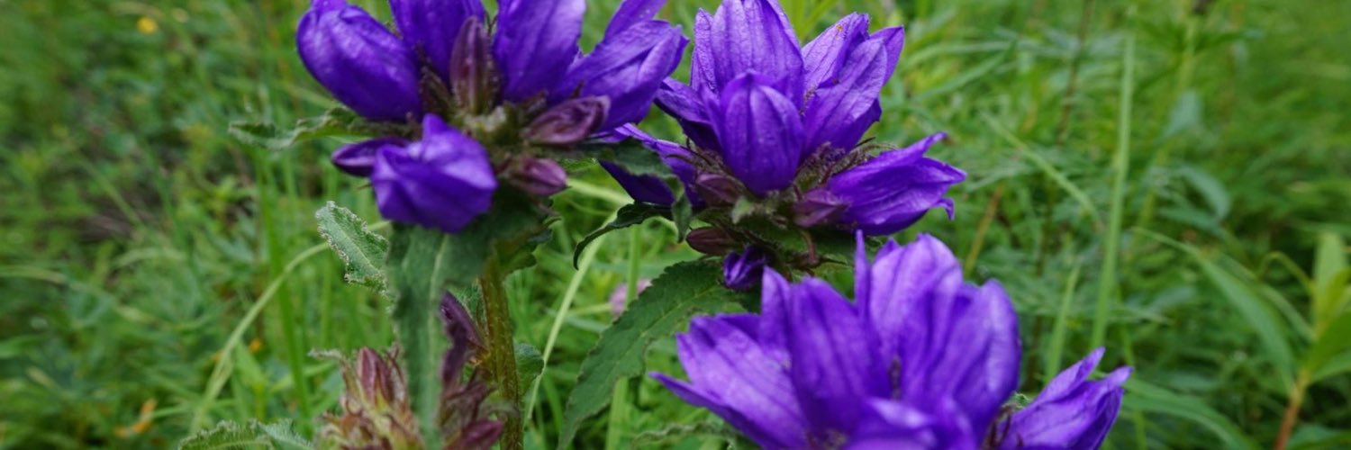 STsetseg's profile banner image