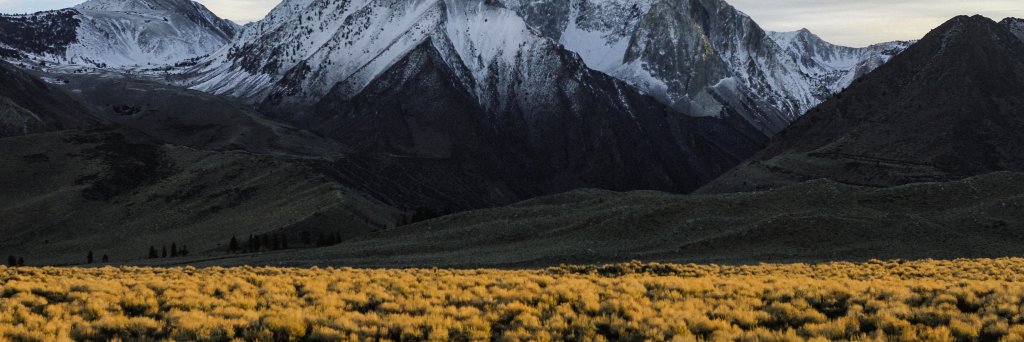 pbentoncron's profile banner image