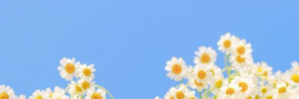♔ Ocktya Larastika ♔ banner