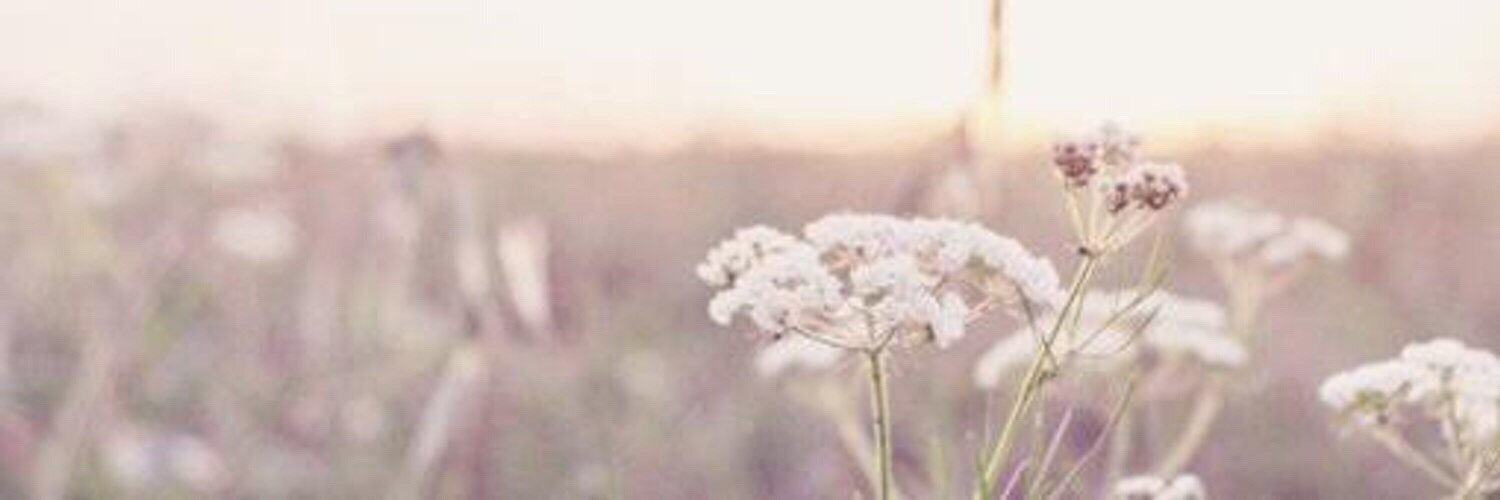 mda_ysh's profile banner image
