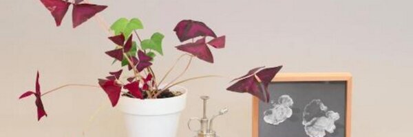 jglinert Profile Banner