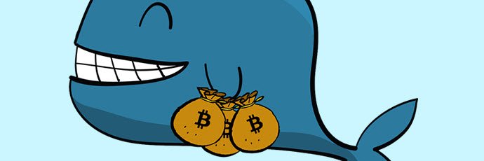 cryptofroggie69's profile banner image