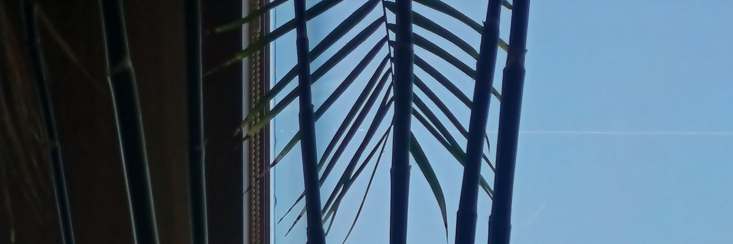 ItsFaan's profile banner image