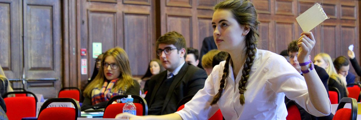 FelstedMUN's profile banner image